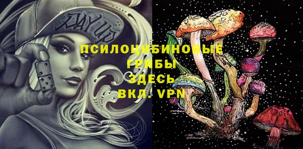 spice Надым