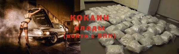 СК Навашино