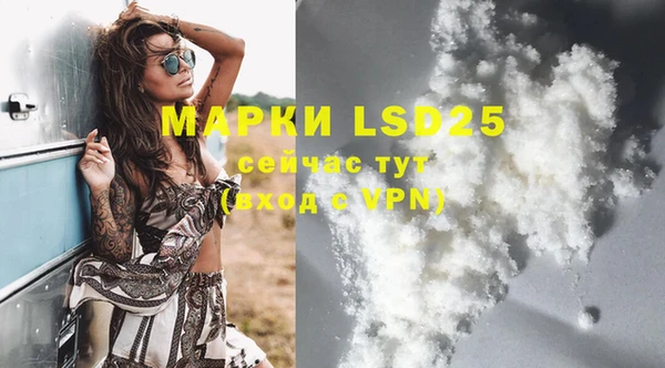 spice Надым