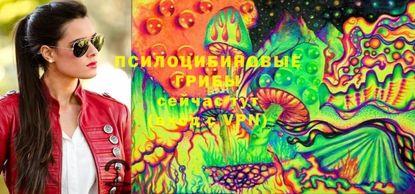 spice Надым