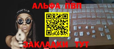 гидра Будённовск