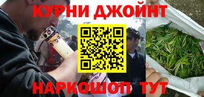 гидра Будённовск