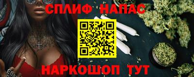 гидра Будённовск