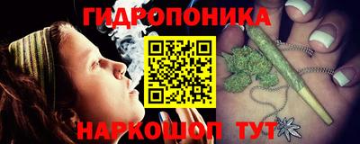 эйфоретик Гай