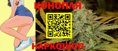 эйфоретик Гай