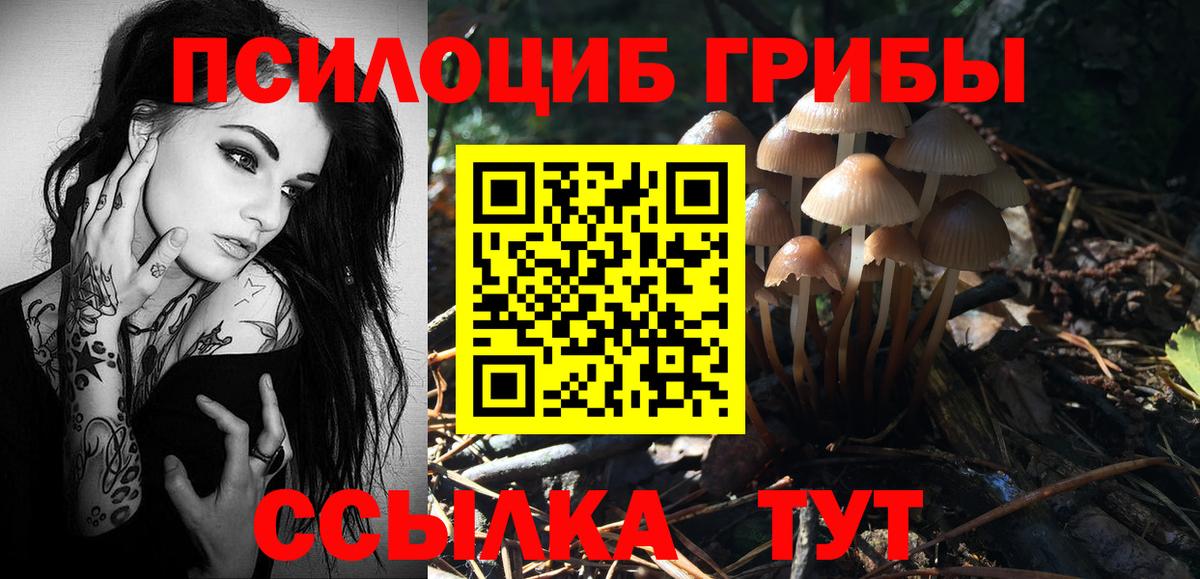 Семилуки  Псилоцибиновые грибы Psilocybine cubensis  Вход с VPN 