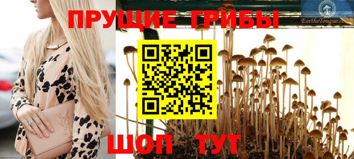 Псилоцибиновые грибы прущие грибы Семилуки