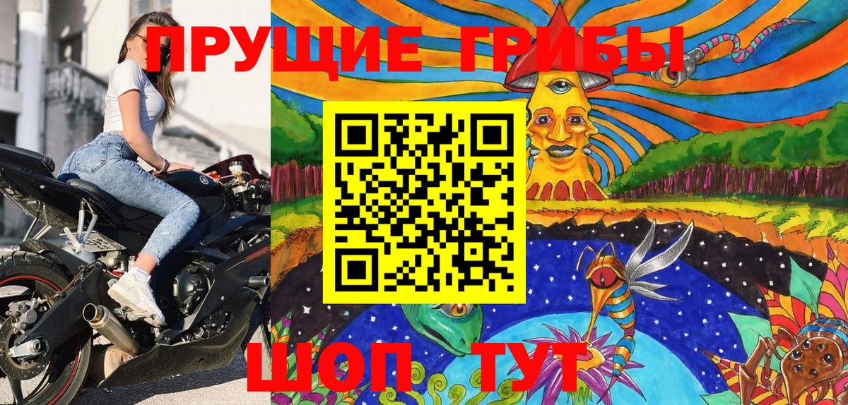 Галлюциногенные грибы прущие грибы  Семилуки 